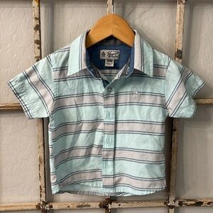 Penguin 100% Cotton Short Sleeve Button Down, Size 18m